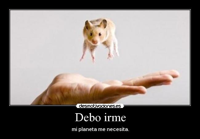 carteles xddd hamsters voladores desmotivaciones