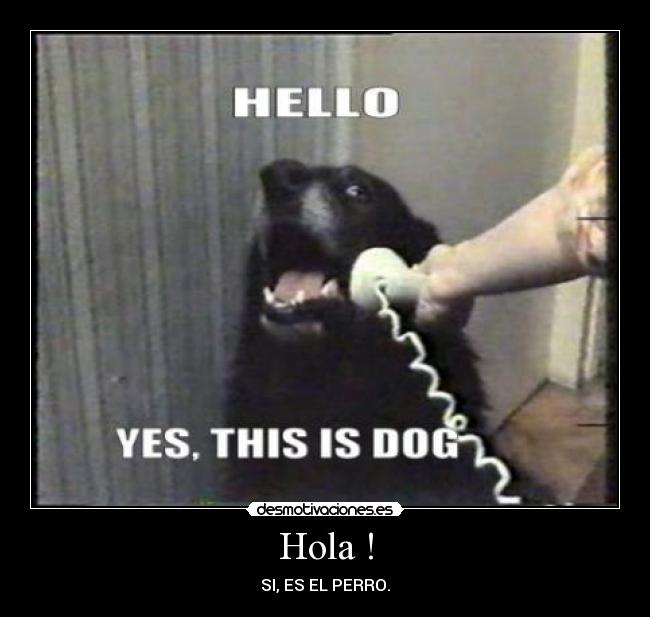 carteles perro telefono desmotivaciones