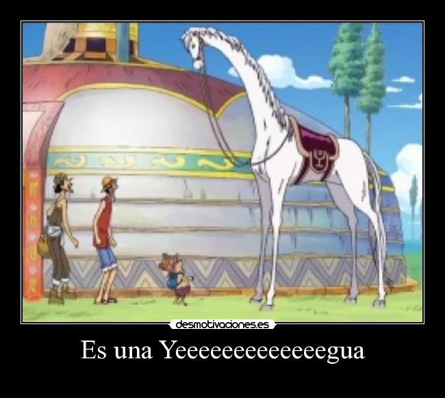 Es una Yeeeeeeeeeeeeegua -