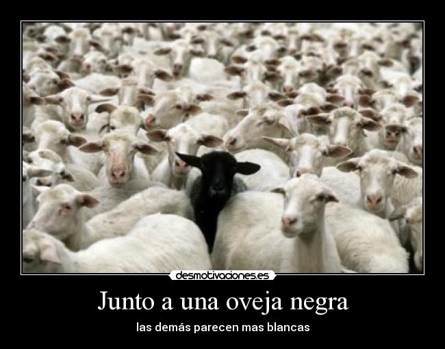 Junto a una oveja negra -