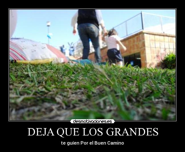 DEJA QUE LOS GRANDES -