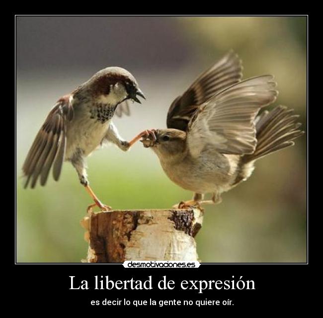 La libertad de expresión - es decir lo que la gente no quiere oír.