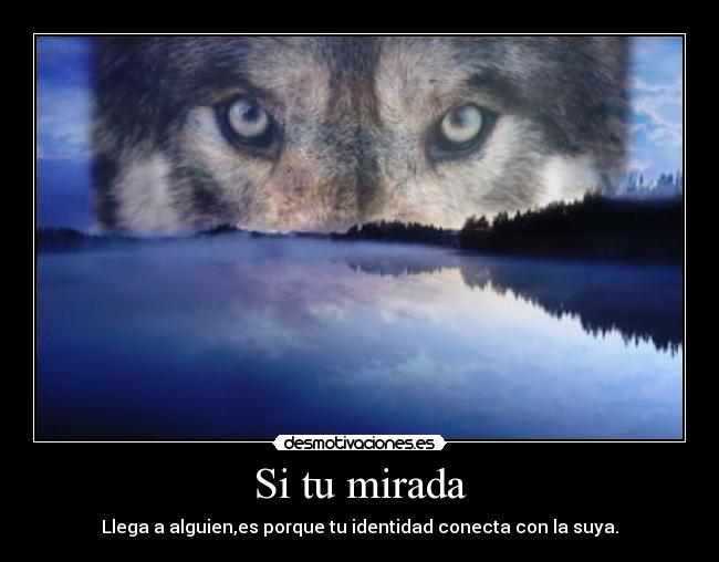 Si tu mirada - Llega a alguien,es porque tu identidad conecta con la suya.