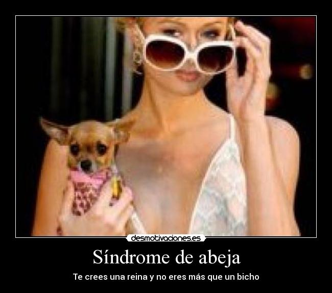 Síndrome de abeja - 