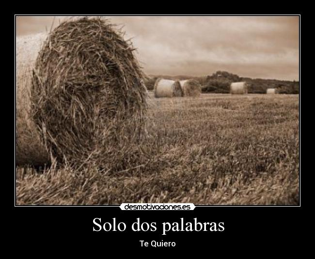 Solo dos palabras - Te Quiero