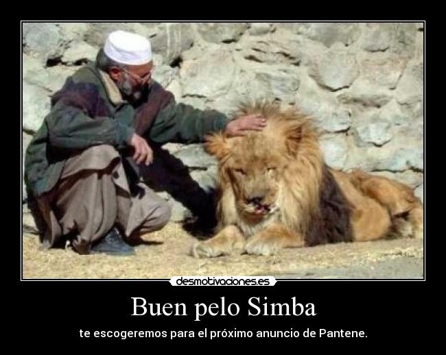 carteles xdddddddddddddddddddddddddddddddddddddddddd desmotivaciones