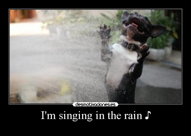 carteles perros que cantan perros que cantan everywhere desmotivaciones