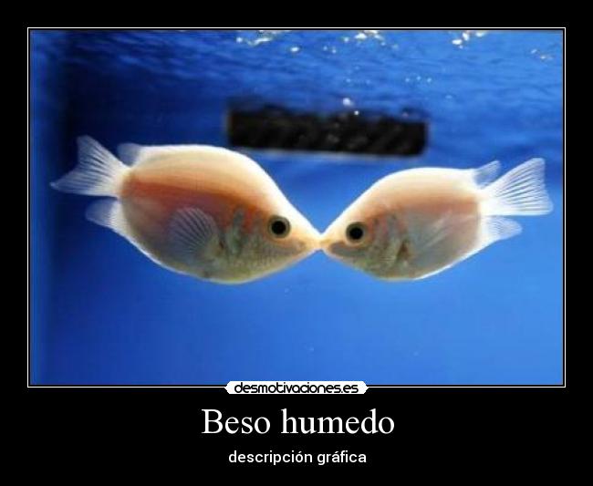 Beso humedo - descripción gráfica