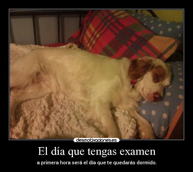 carteles siempre llego tarde los examenes eso que estudio noche seven desmotivaciones