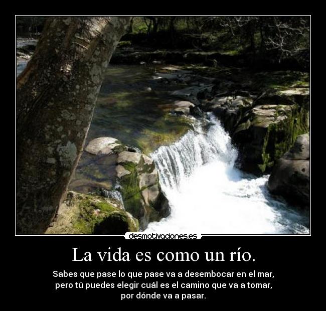 La vida es como un río. - Sabes que pase lo que pase va a desembocar en el mar,
pero tú puedes elegir cuál es el camino que va a tomar,
por dónde va a pasar.