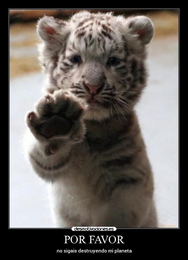 POR FAVOR - no sigais destruyendo mi planeta