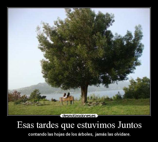 Esas tardes que estuvimos Juntos - 