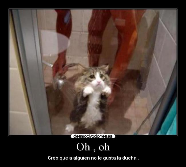 carteles seria orgullo llegar principal desmotivaciones