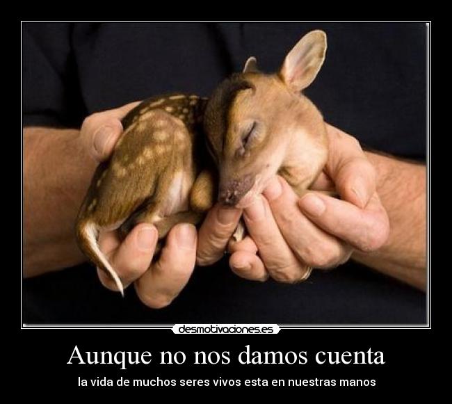 Aunque no nos damos cuenta -