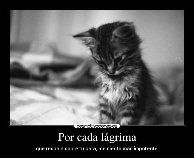 Por cada lágrima - que resbala sobre tu cara, me siento más impotente.