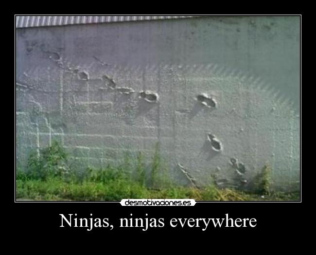 Ninjas, ninjas everywhere -