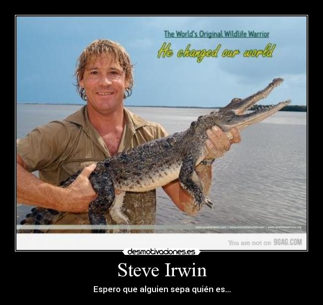 Steve Irwin - Espero que alguien sepa quién es...