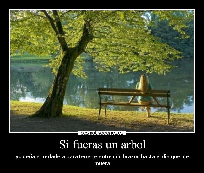Si fueras un arbol - yo seria enredadera para tenerte entre mis brazos hasta el dia que me muera