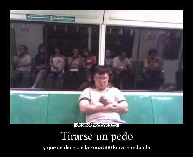 carteles chinos chinos leones leones todos quieren ser los campeones leones leones chinos chinos desmotivaciones