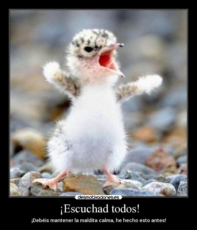¡Escuchad todos! - 
