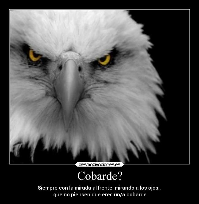 Cobarde? - Siempre con la mirada al frente, mirando a los ojos.. 
que no piensen que eres un/a cobarde