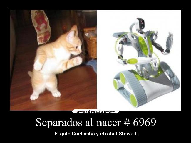 Separados al nacer # 6969 - El gato Cachimbo y el robot Stewart