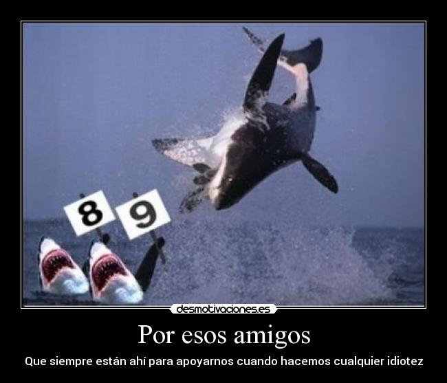 carteles amigos por esos amigos desmotivaciones