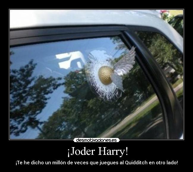¡Joder Harry! -