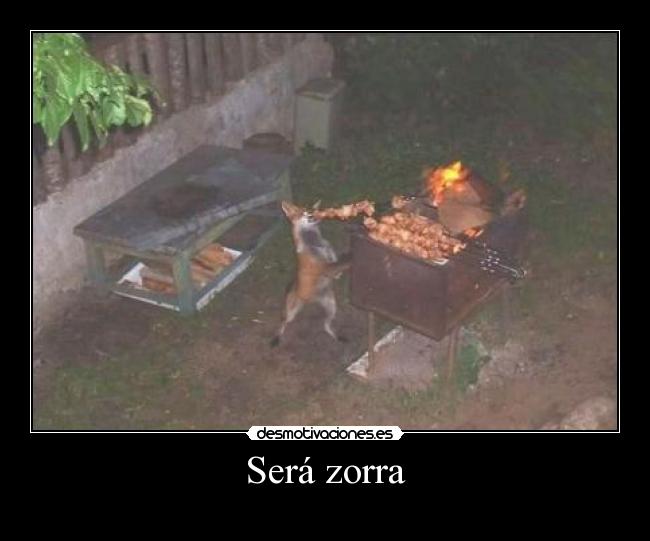 Será zorra - 