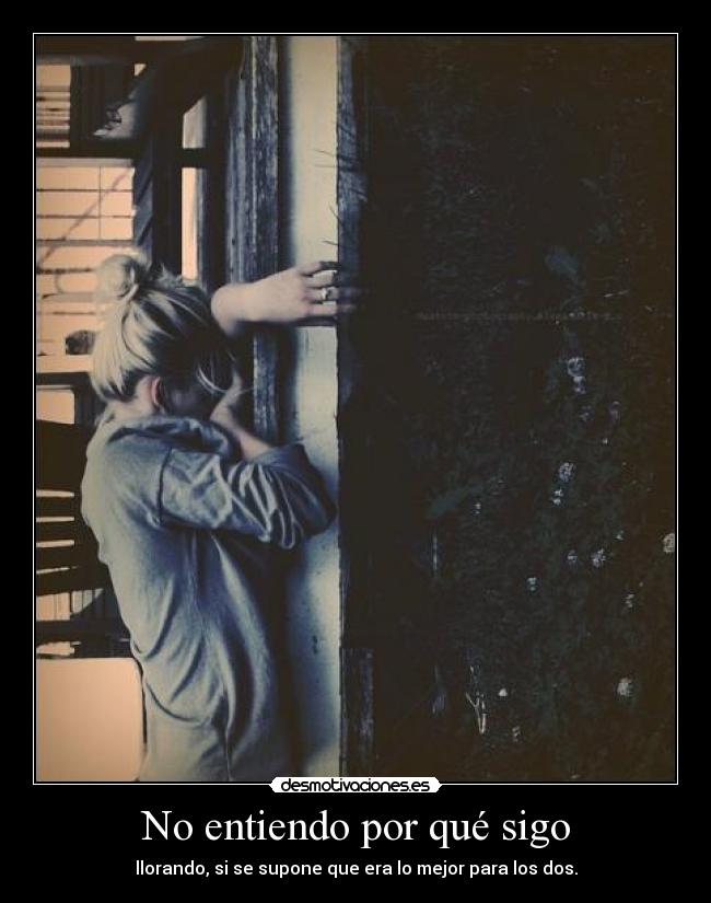 carteles mividaesunascopuntocom desmotivaciones