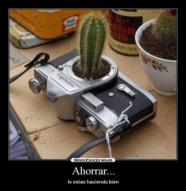 Ahorrar... - lo estas haciendo bien