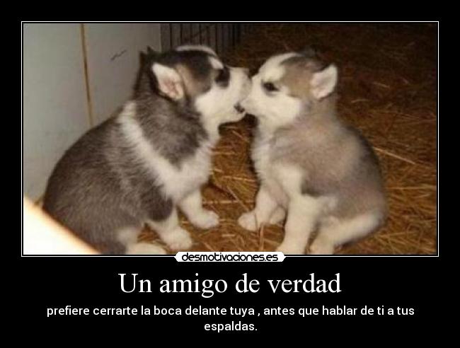 Un amigo de verdad - prefiere cerrarte la boca delante tuya , antes que hablar de ti a tus espaldas.