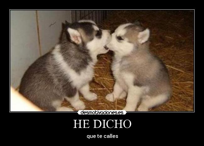 HE DICHO - 