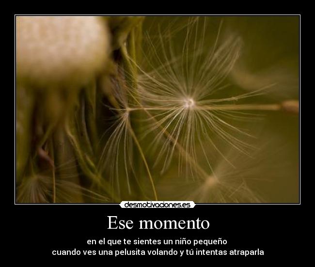 Ese momento -