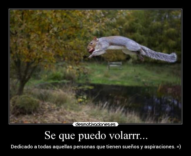 Se que puedo volarrr... - 