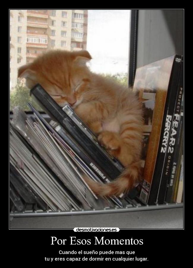 Por Esos Momentos - Cuando el sueño puede mas que
tu y eres capaz de dormir en cualquier lugar.