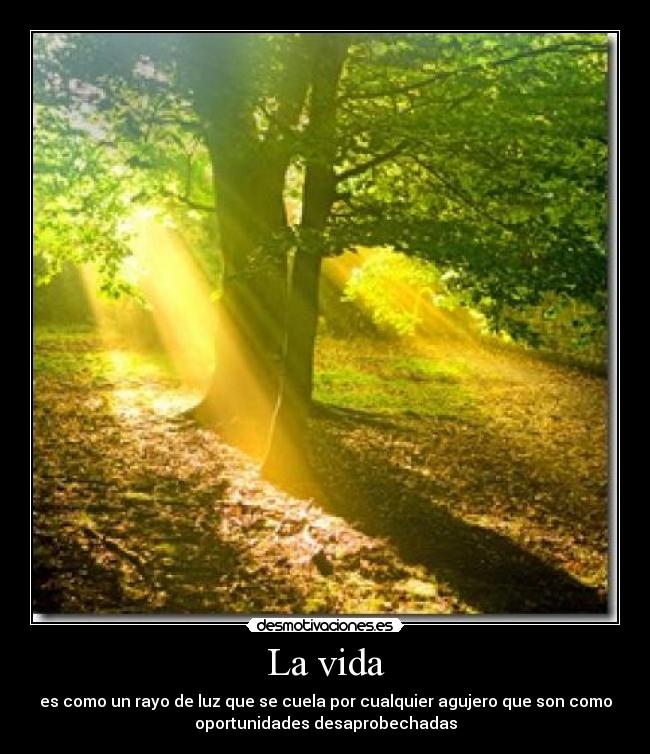 carteles vida live your life desmotivaciones