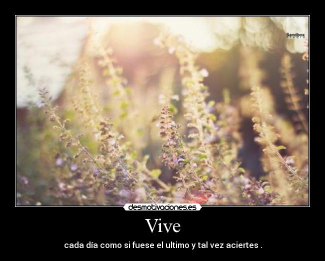 Vive - cada día como si fuese el ultimo y tal vez aciertes .