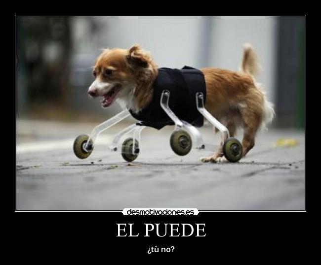 EL PUEDE - ¿tù no?