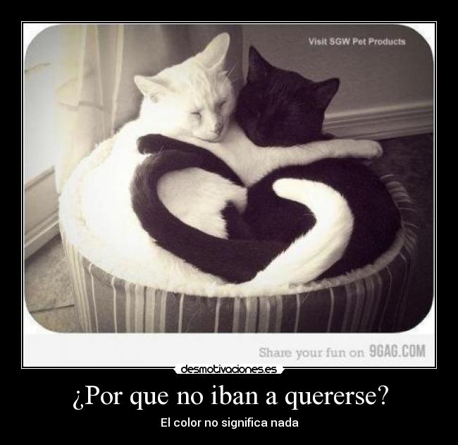 ¿Por que no iban a quererse? - El color no significa nada