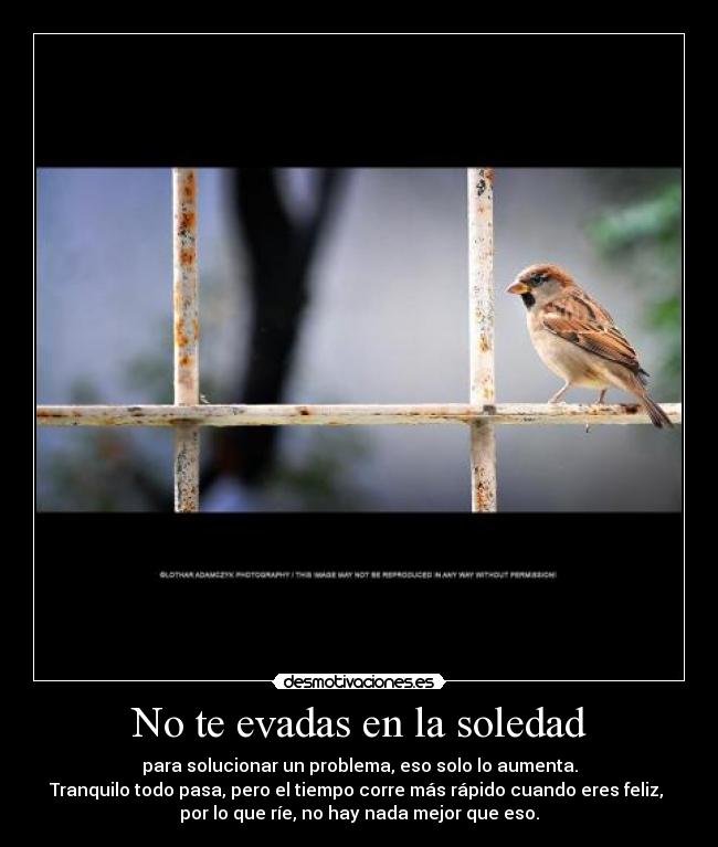 No te evadas en la soledad -