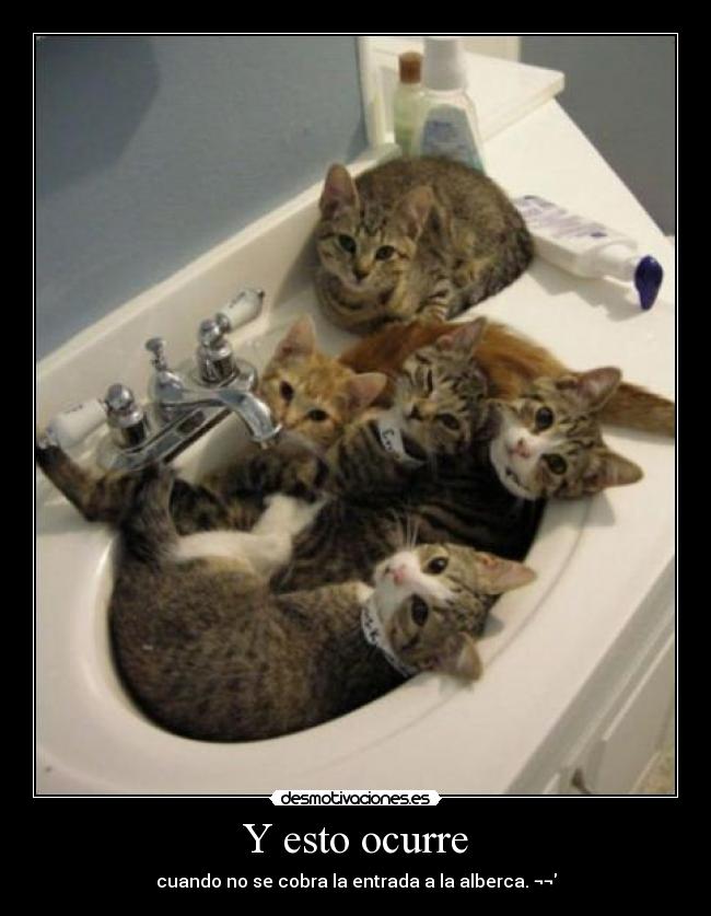 Y esto ocurre -