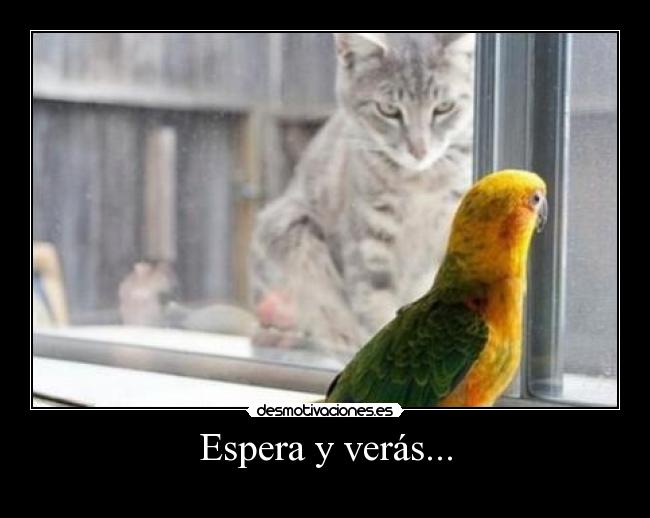 Espera y verás... - 