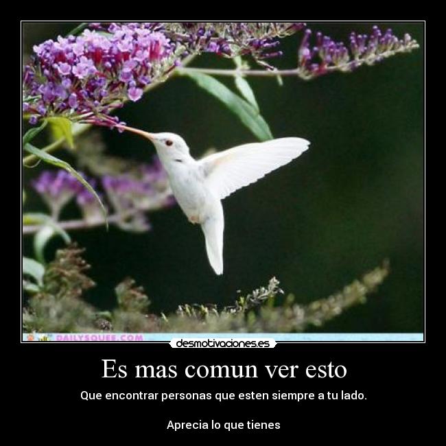 Es mas comun ver esto - Que encontrar personas que esten siempre a tu lado.
Aprecia lo que tienes