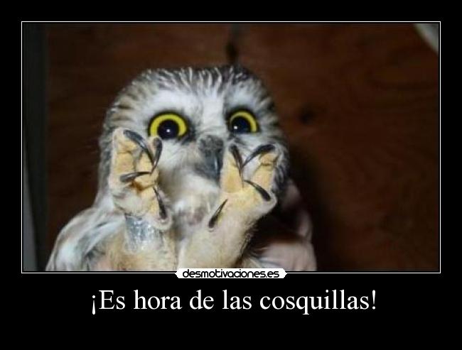 ¡Es hora de las cosquillas! -