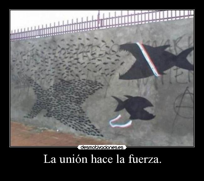 La unión hace la fuerza. -