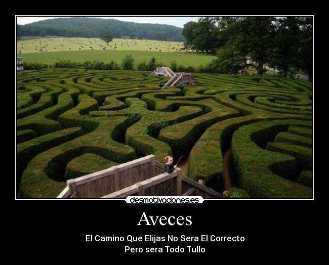 Aveces -