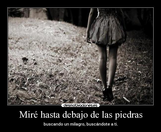 Miré hasta debajo de las piedras - 