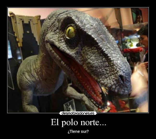 El polo norte... -