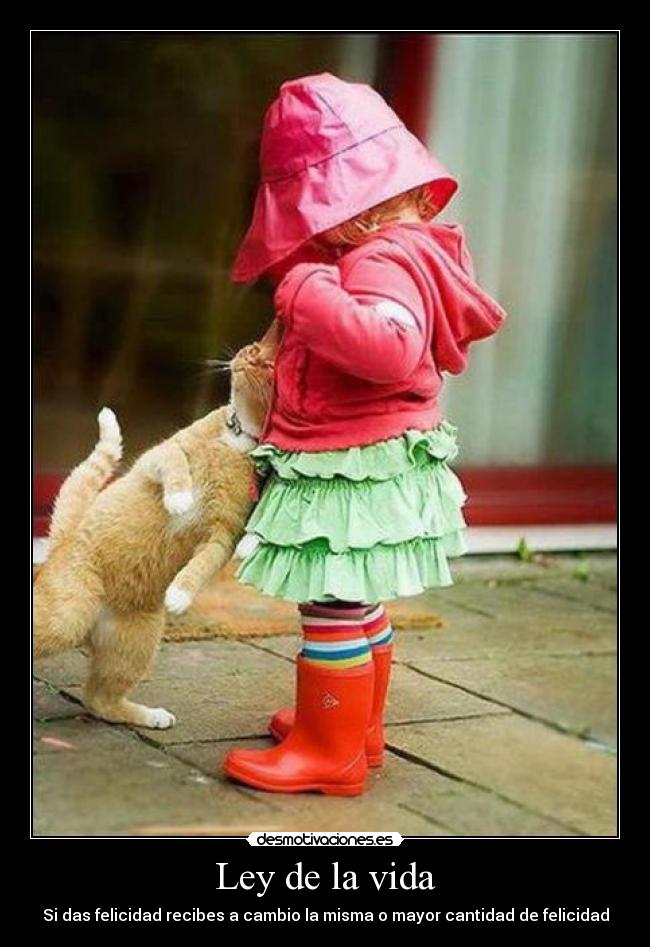 Ley de la vida -